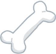 骨粗鬆症について